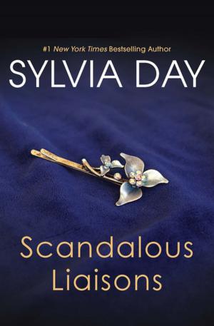 bigCover of the book Scandalous Liaisons by 