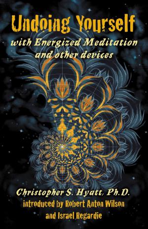 Cover of Undoing Yourself With Energized Meditation & Other Devices