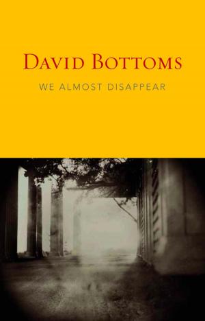 Cover of the book We Almost Disappear by Ted Kooser
