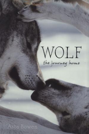Cover of the book Wolf by Jules Stewart