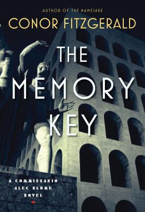 Cover of the book The Memory Key by Jordan P. Novak