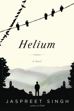 Cover of the book Helium by Peter Davidson