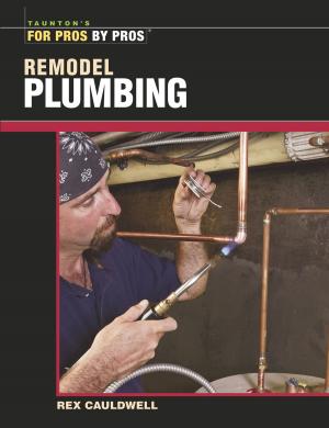 Cover of the book Remodel Plumbing by Matthew Schoenherr