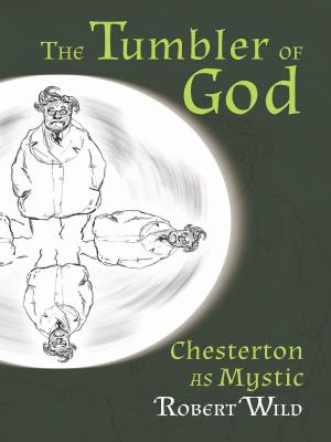 Cover of the book The Tumbler of God by Stratford Caldecott