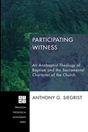 Cover of the book Participating Witness by W. Ross Hastings