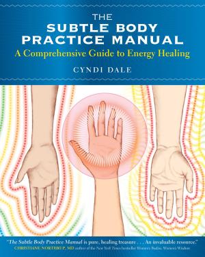 Cover of the book The Subtle Body Practice Manual by Jeff Foster