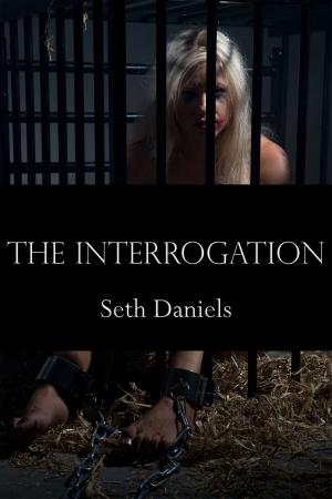 Cover of the book The Interrogation by A.J. Sexton