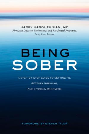 Cover of the book Being Sober by Donna Aguiniga