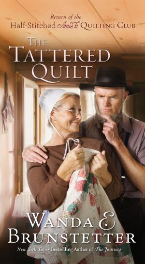 Cover of the book The Tattered Quilt by Anita C. Donihue