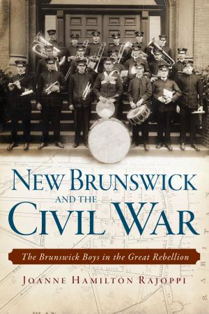 Cover of the book New Brunswick and the Civil War by Alvin F. Oickle