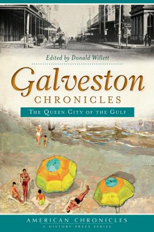 Cover of the book Galveston Chronicles by David Sakrison