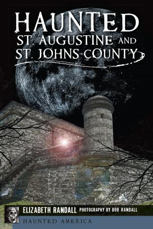 Cover of the book Haunted St. Augustine and St. Johns County by Patrick Butler