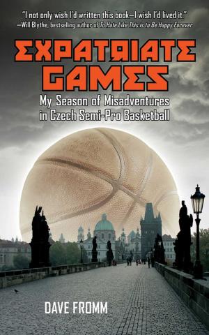 Cover of the book Expatriate Games by Jenn Granneman