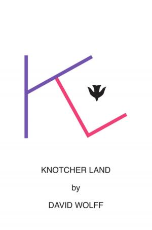 Cover of the book Knotcher Land by Alan Brayne