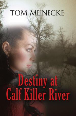Cover of the book Destiny at Calf Killer River by Pamela Saraga