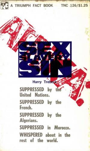 Cover of the book Afrika--Sex, Sin and Slavery by Greta X