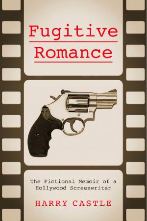 Book cover of Fugitive Romance