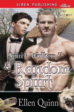 Cover of the book A Random Spirit by Jane Jamison