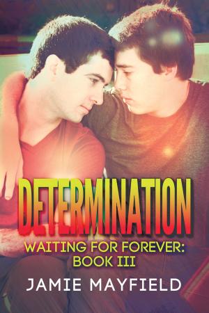 Cover of the book Determination by M.J. O'Shea
