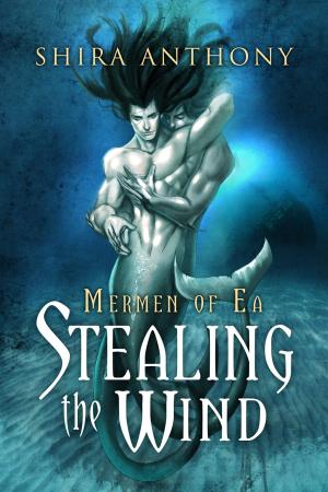 Cover of the book Stealing the Wind by Nik Valentine