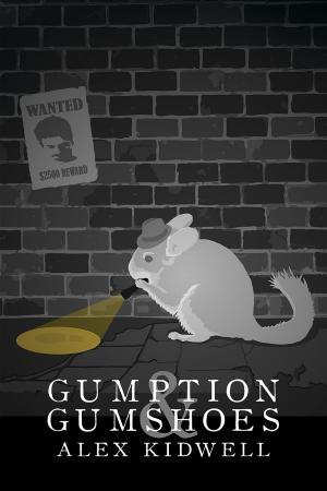Book cover of Gumption & Gumshoes