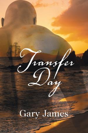 Cover of the book Transfer Day by Lisa Stalvey