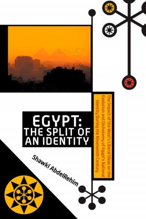 Cover of the book Egypt: The Split of an Identity by Eric LaMont Gregory MSc Oxon
