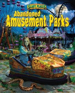 Book cover of Abandoned Amusement Parks