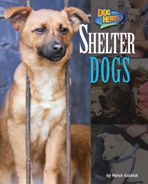 Book cover of Shelter Dogs