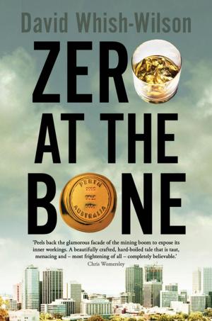 Book cover of Zero at the Bone