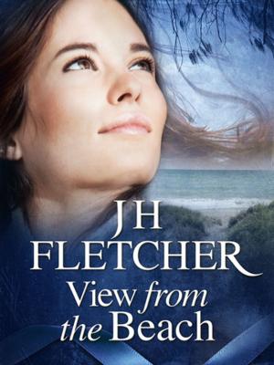 Book cover of View from the Beach