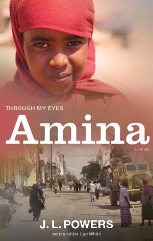 Book cover of Amina: Through My Eyes