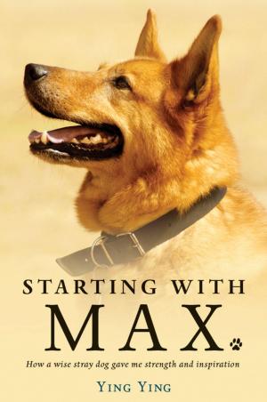 Cover of the book Starting with Max by Fiona Higgins
