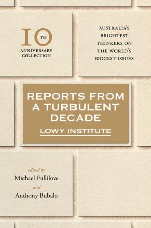 Book cover of Reports from a Turbulent Decade