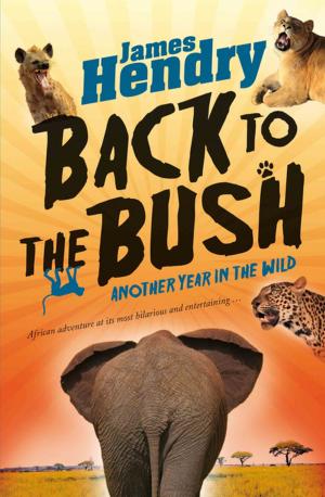 Cover of the book Back to the Bush by Christine Elise McCarthy