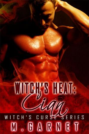 Cover of the book Witch's Heat: Cian by Jon Bradbury
