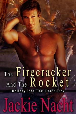 bigCover of the book The Firecracker and the Rocket by 