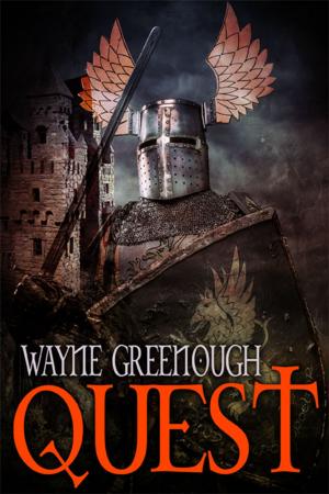 Cover of the book Quest by Meraki P. Lyhne