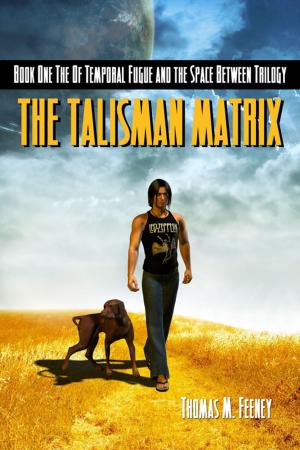 Cover of the book The Talisman Matrix by Kayla Van Egdom