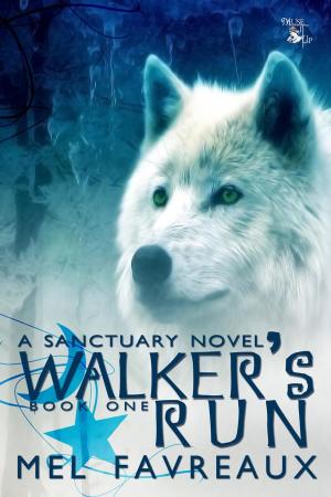 bigCover of the book Walker's Run by 