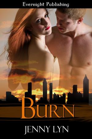 Cover of the book Burn by Jenika Snow