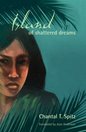 Book cover of Island of Shattered Dreams