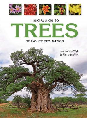 Cover of the book Field Guide to Trees of Southern Africa by Chris Stuart