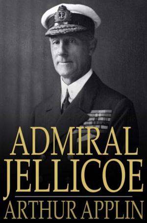 Book cover of Admiral Jellicoe