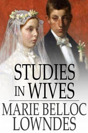 Cover of the book Studies in Wives by Robert W. Chambers