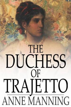 Cover of the book The Duchess of Trajetto by Eliel Roveder