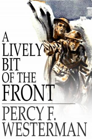 Cover of the book A Lively Bit of the Front by Enrico Ferri