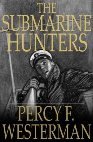 Cover of the book The Submarine Hunters by Mark McMillin