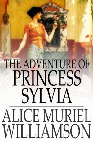 Cover of the book The Adventure of Princess Sylvia by Sarah Orne Jewett