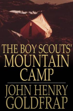 Cover of the book The Boy Scouts' Mountain Camp by Evelyn Scott